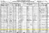 1920 United States Federal Census - Travis B Wilkins