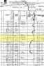1880 United States Federal Census - Pleasant McCoy